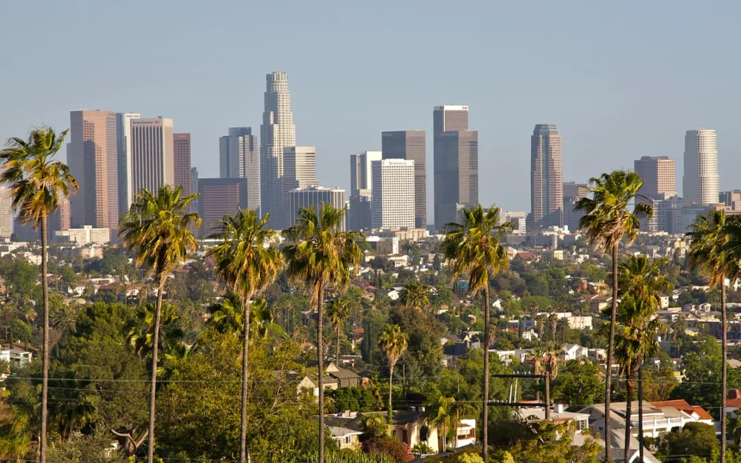 SLUDGE: Los Angeles Considers ‘Democracy Vouchers’ to Expand Engagement in City Elections